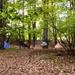 Nordhouse Dunes Wilderness Recreation