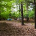 Nordhouse Dunes Wilderness Recreation