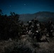 EOD Technicians Conduct a Night Drill