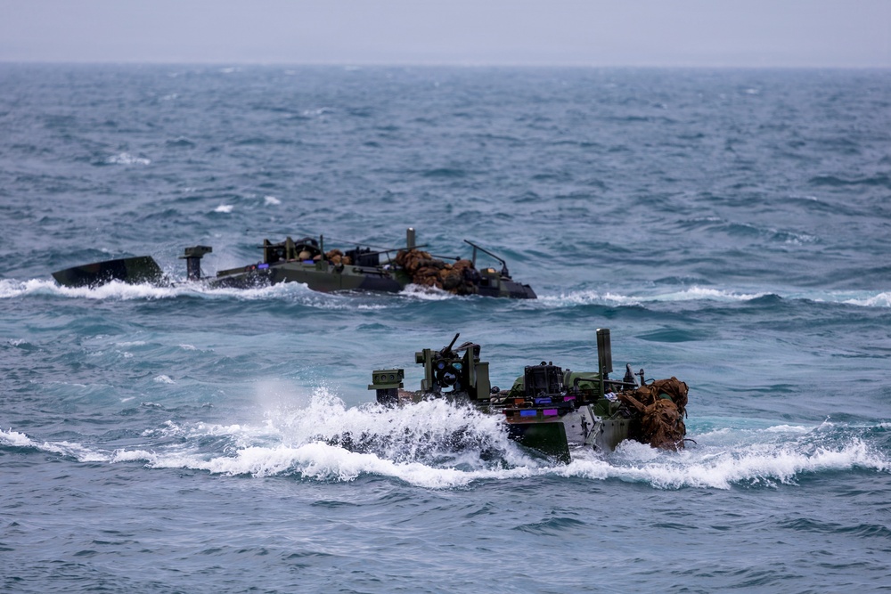 26th Marine Expeditionary Unit's Type Commander's Amphibious Training | 2nd AABN Shore to Ship Exercise