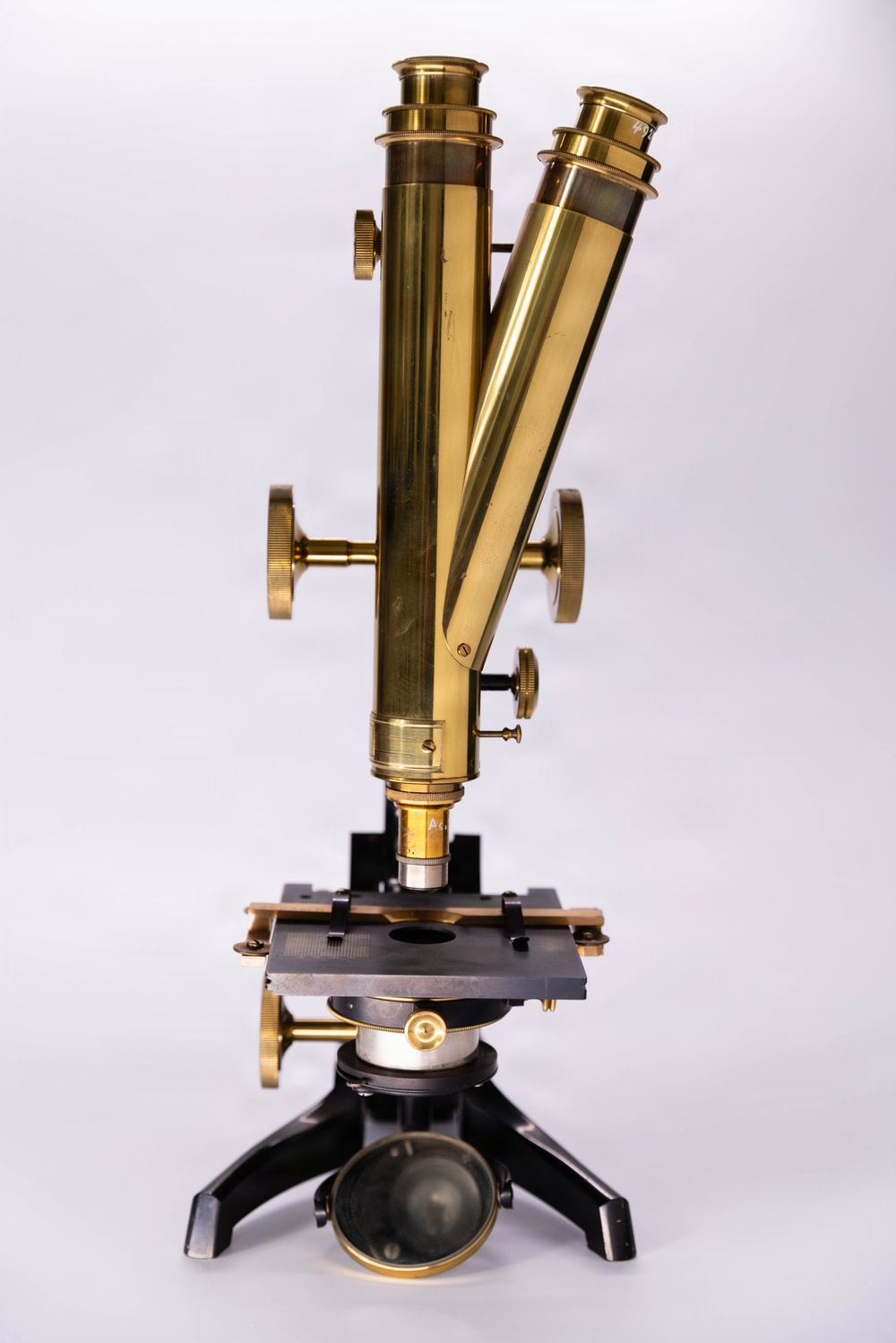 Greenough-style microscope