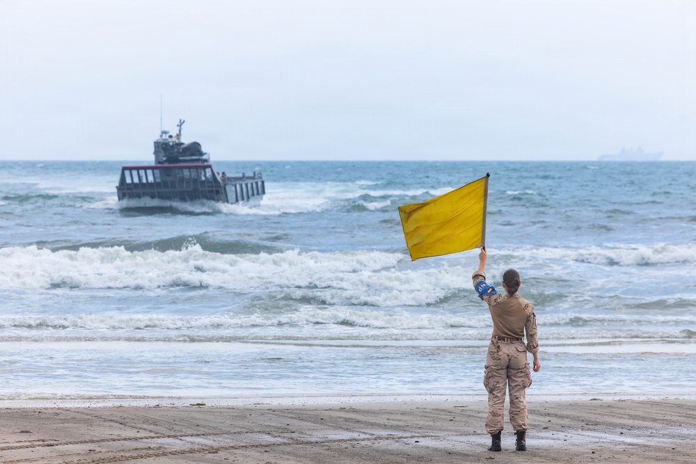 Fleet Exercise 250 | French marine corps offload