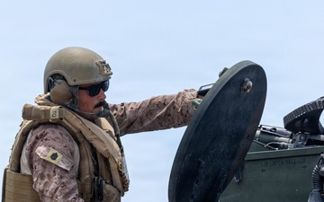 Type Commander's Amphibious Training | Amphibious Combat Vehicle splash