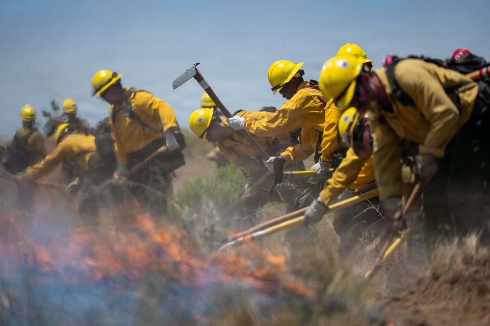 Vandenberg Fire Team Conducts Prescribed Burn Exercise