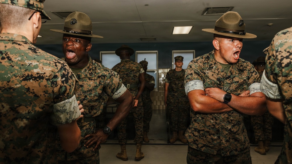 India Company Series Commander Inspection