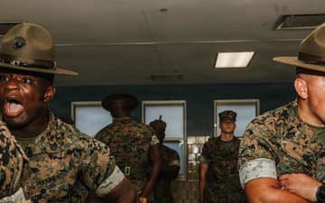 India Company Series Commander Inspection