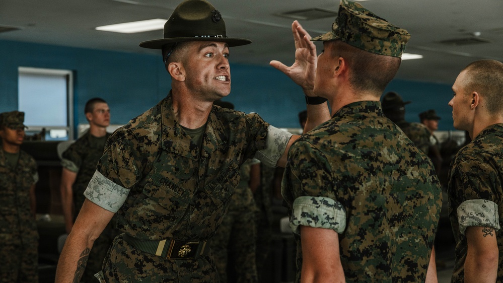 India Company Series Commander Inspection