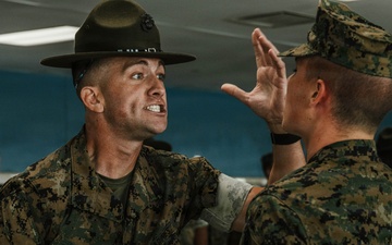 India Company Series Commander Inspection