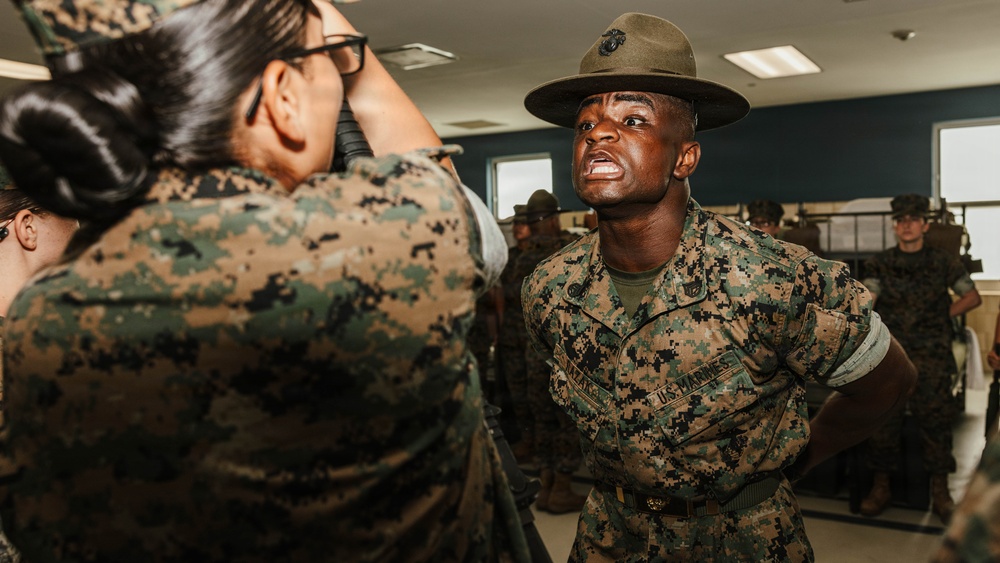 India Company Series Commander Inspection