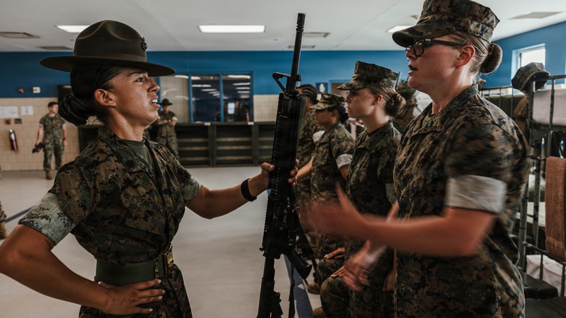 India Company Series Commander Inspection