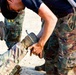 Candidates from the 1st Squadron, 124th Cavalry Regiment, Texas Army National Guard, completed the squadron's Spur Ride at Fort Hood, June 8-11, 2026, earning their place in the Order of the Spur.