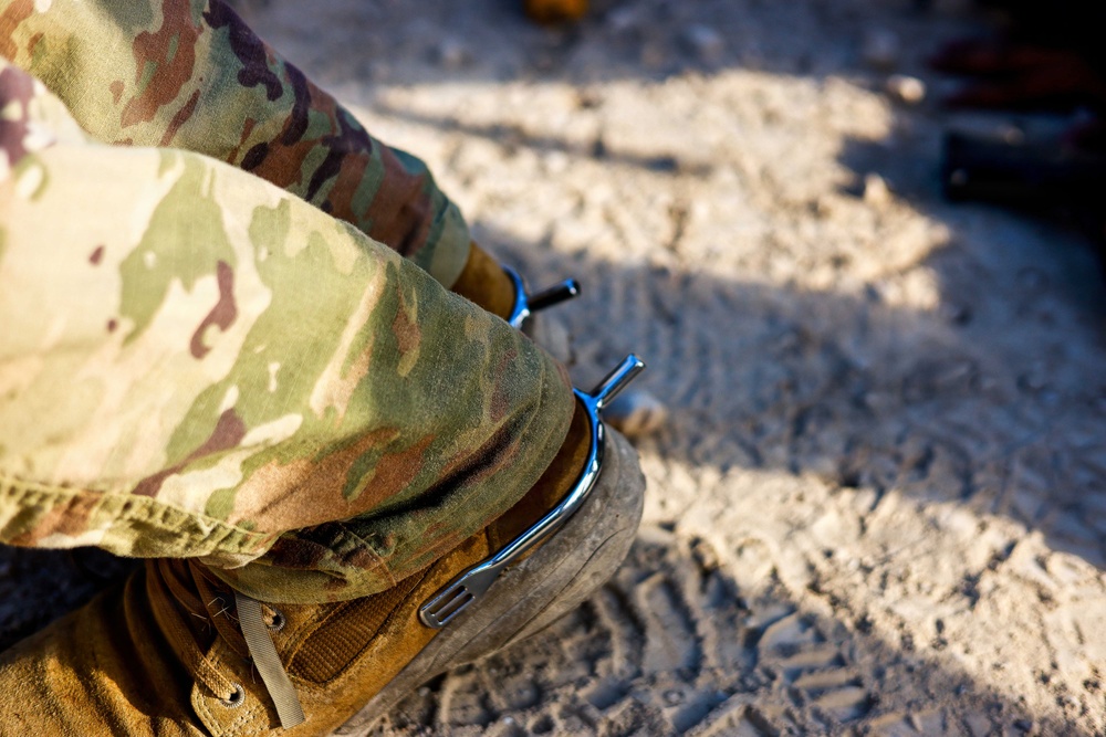 Candidates from the 1st Squadron, 124th Cavalry Regiment, Texas Army National Guard, completed the squadron's Spur Ride at Fort Hood, June 8-11, 2026, earning their place in the Order of the Spur.