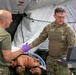 Operation Sentinel Justice Enhances Medical Readiness at Camp Beauregard