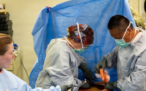338th Medical Brigade Surgical Cut Suit