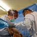 338th Medical Brigade Surgical Cut Suit