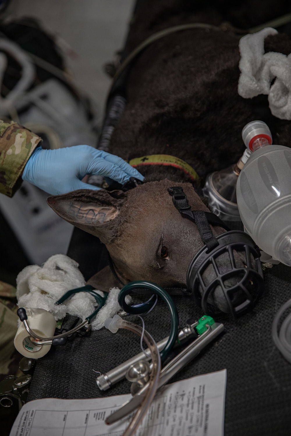 409th MCAS Mass Casualty