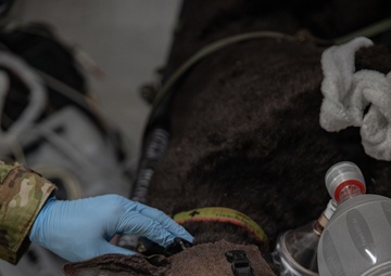 409th MCAS Mass Casualty