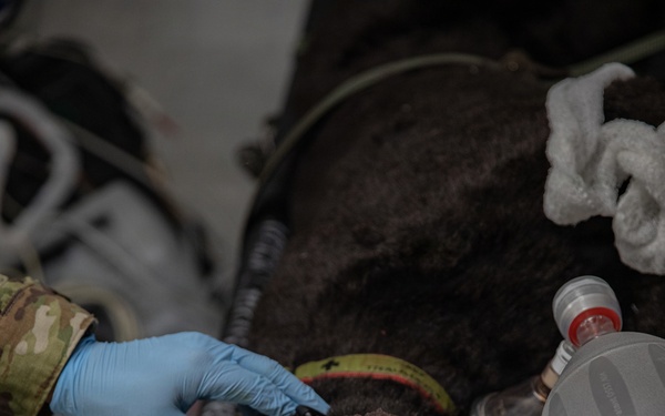 409th MCAS Mass Casualty
