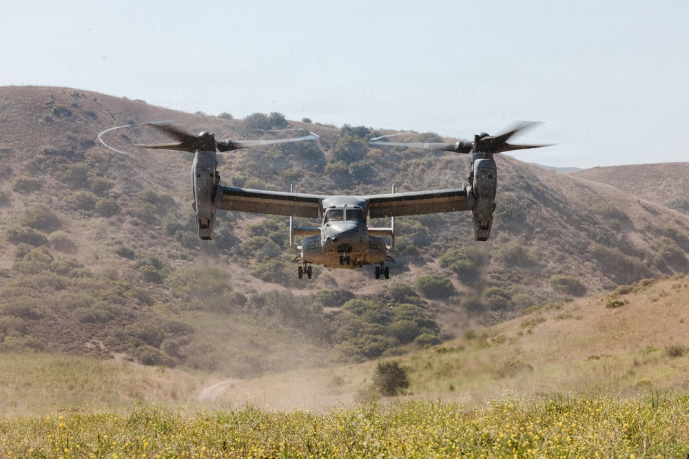 1st ANGLICO Completes Field Exercise