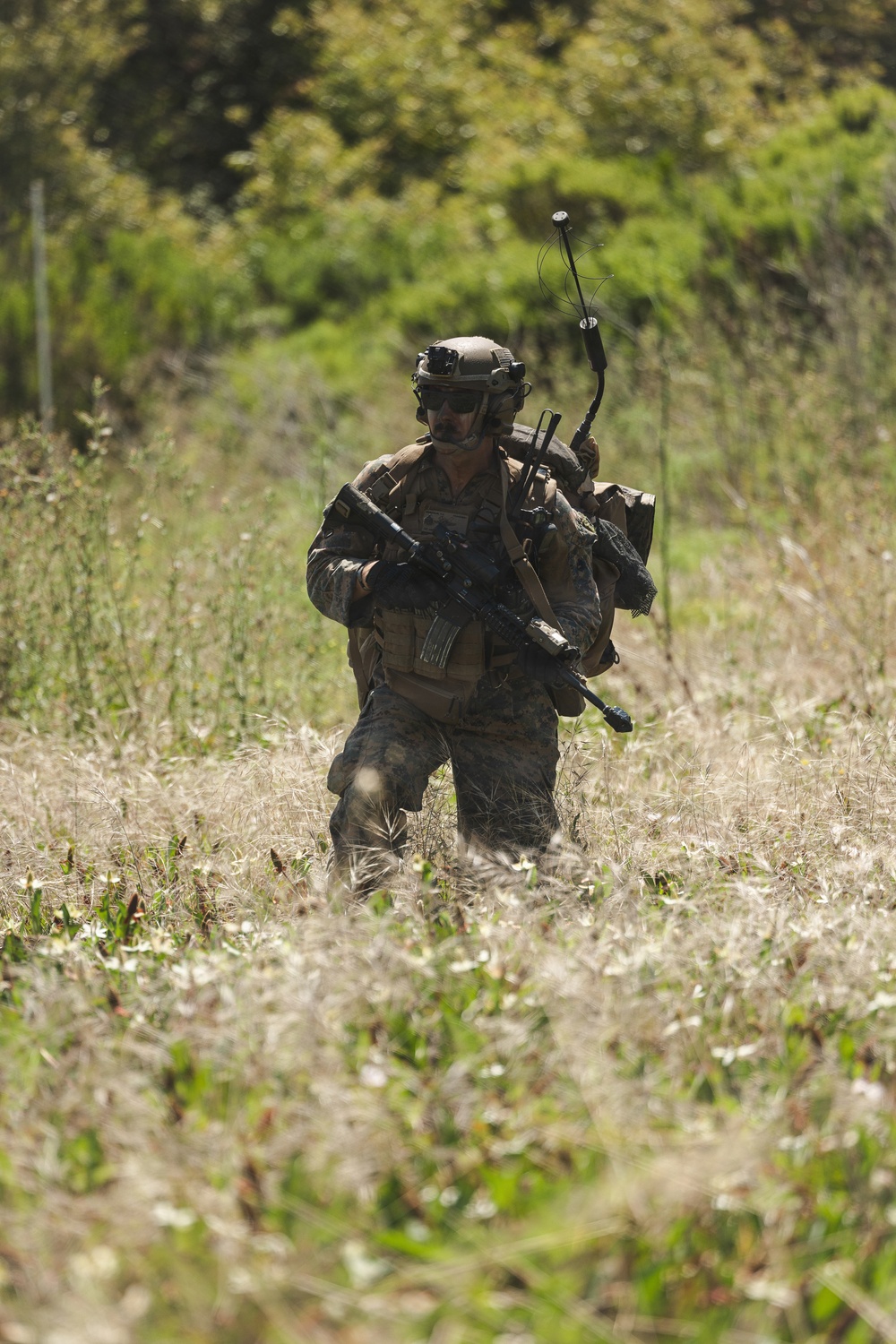 1st ANGLICO Completes Field Exercise