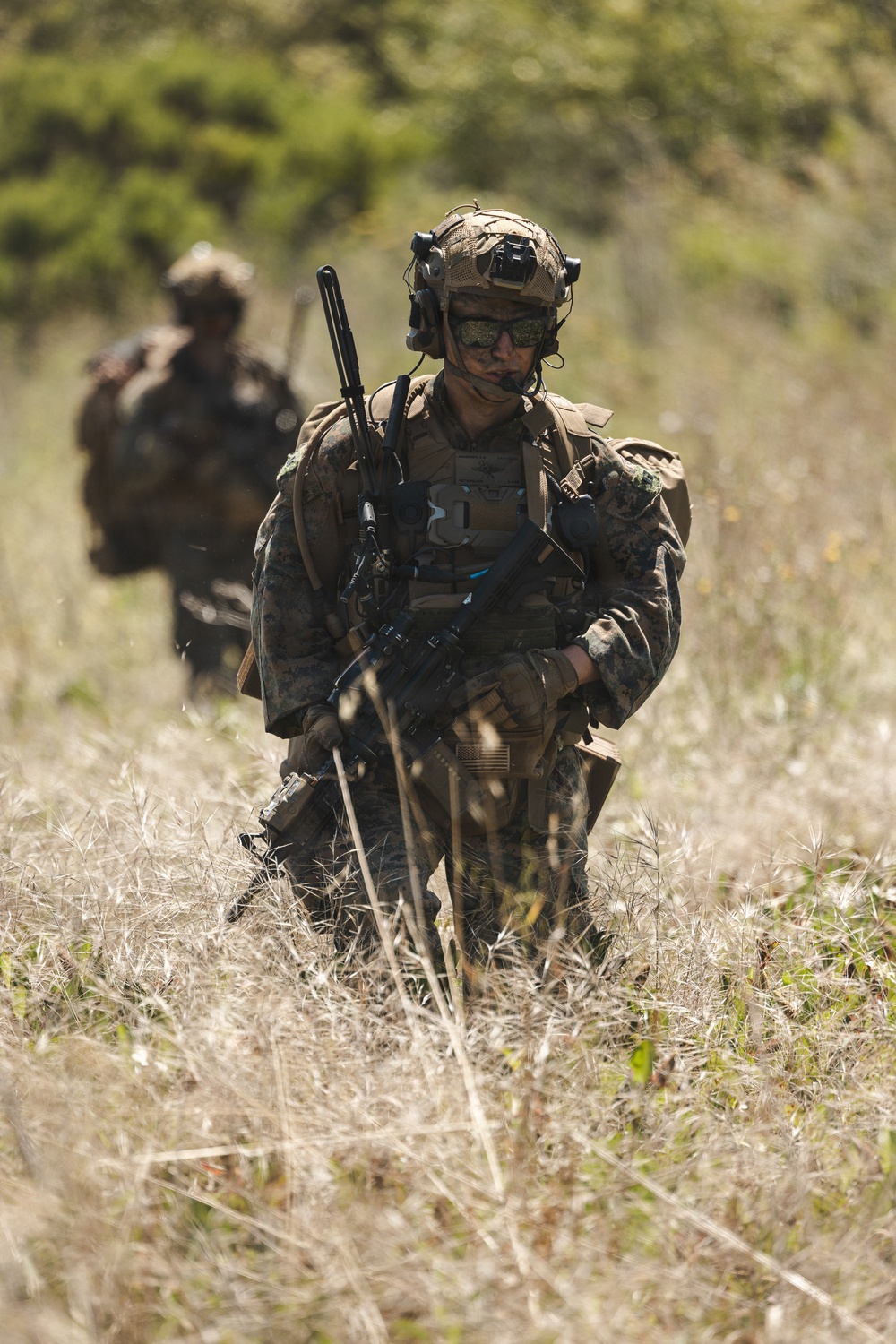 1st ANGLICO Completes Field Exercise