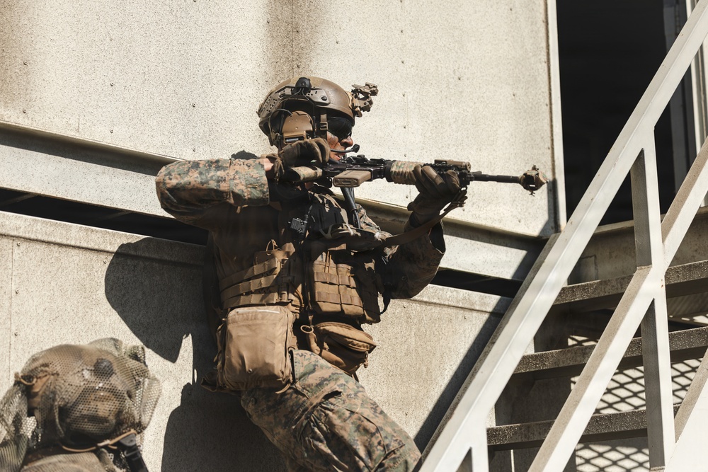 1st ANGLICO Completes Field Exercise