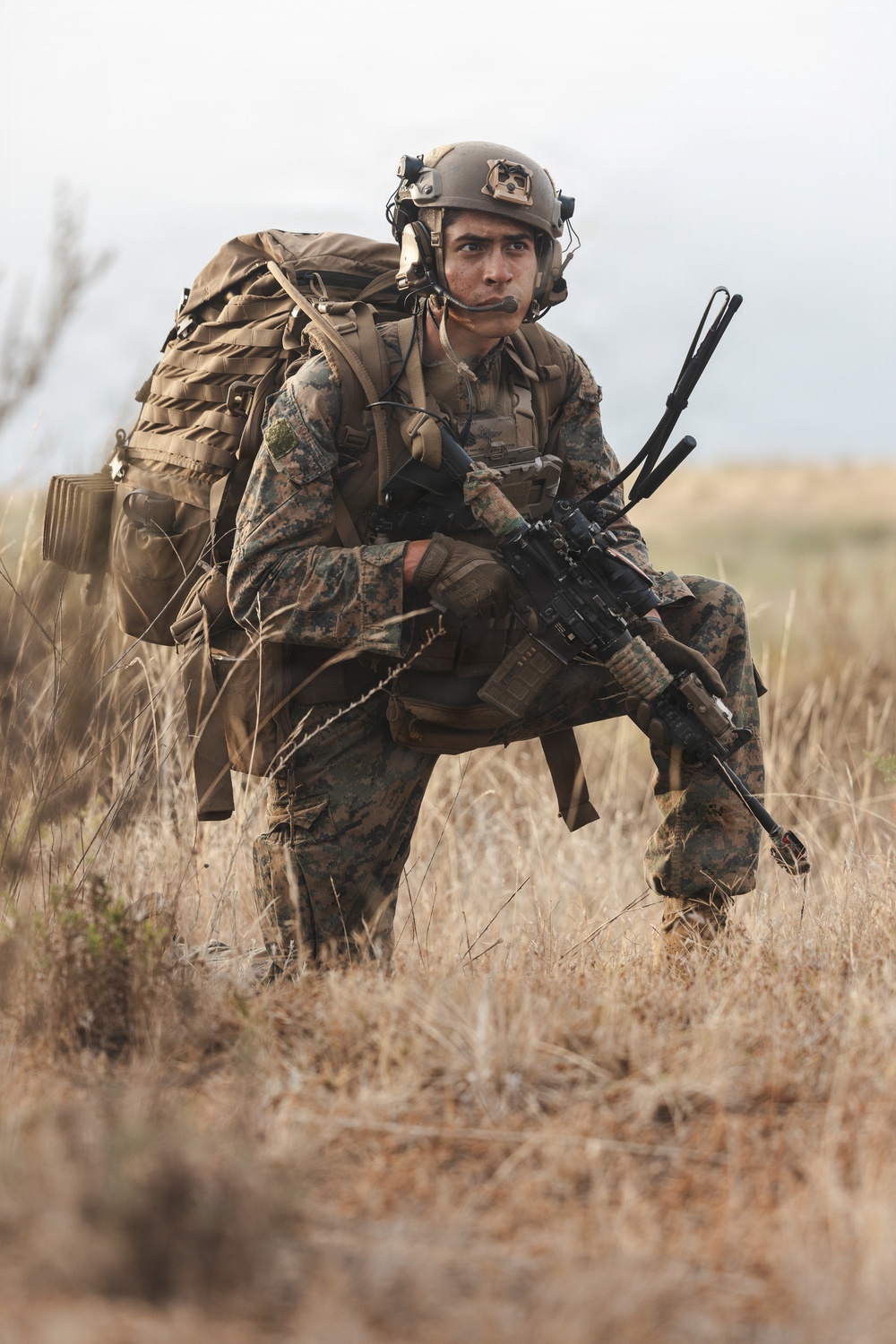 1st ANGLICO Completes Field Exercise