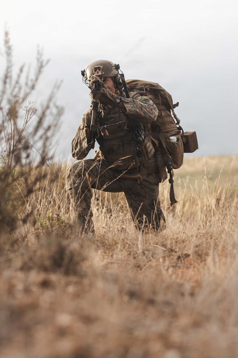 1st ANGLICO Completes Field Exercise