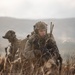 1st ANGLICO Completes Field Exercise