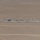 1-112th participate in Desert Forge 2026