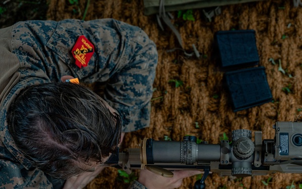 U.S. Marines Participate in the International Sniper Competition: Zero Day