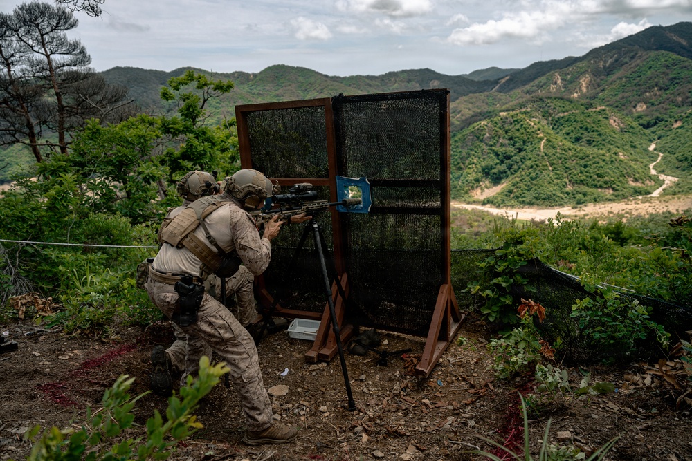U.S. Marines Participate in the International Sniper Competition: Day 2