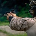 U.S. Marines Participate in the International Sniper Competition: Day 3