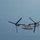 USS Boxer, HSC 21 Conduct Routine Operations
