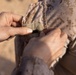 Exercise Predator’s Walk 26: US Marines hold promotion in field