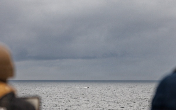 USS Mount Whitney USV Swarm Exercise