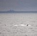 USS Mount Whitney USV Swarm Exercise