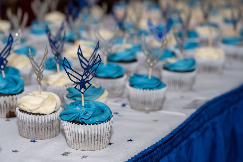 Master Sergeant Release Party
