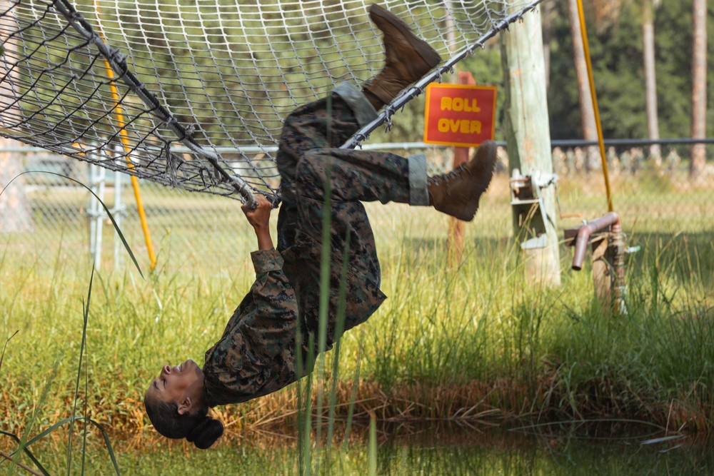 Fox Company Confidence Course