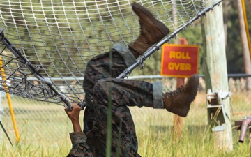 Fox Company Confidence Course