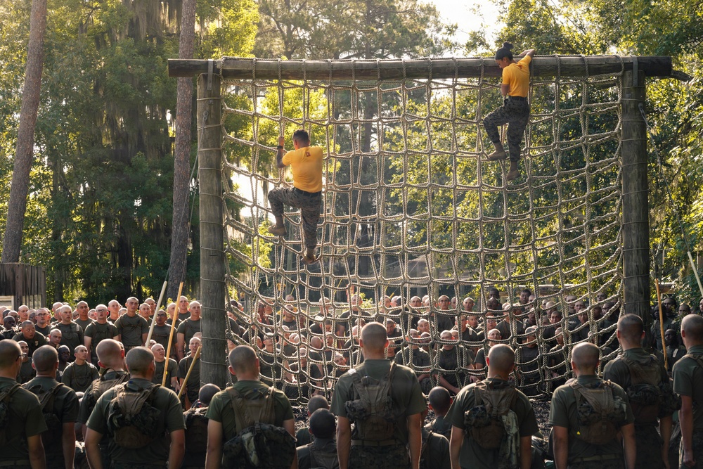 Fox Company Confidence Course