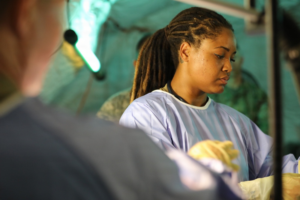 422nd Medical Detachment Veterinary Service Support (MDVS) performs medical procedure on mechanical canine to treat Gastric Dilatation-Volvulus (GDV)