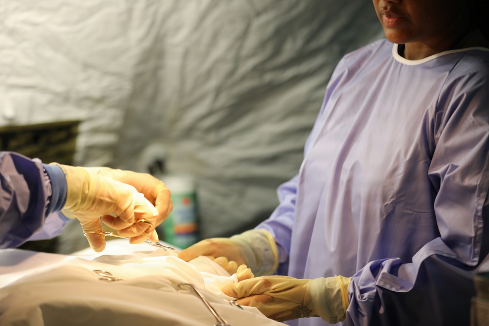 422nd Medical Detachment Veterinary Service Support (MDVS) performs medical procedure on mechanical canine to treat Gastric Dilatation-Volvulus (GDV)