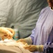 422nd Medical Detachment Veterinary Service Support (MDVS) performs medical procedure on mechanical canine to treat Gastric Dilatation-Volvulus (GDV)