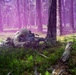 Blackfoot Company, 1-4 Infantry - Blank firing range in GTA