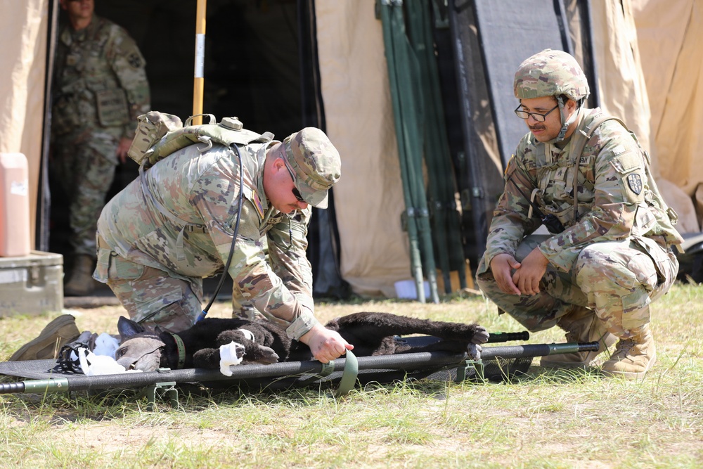 624th Forward Resuscitative Surgical Detachment (FRSD) performs medical field training using a robotic canine