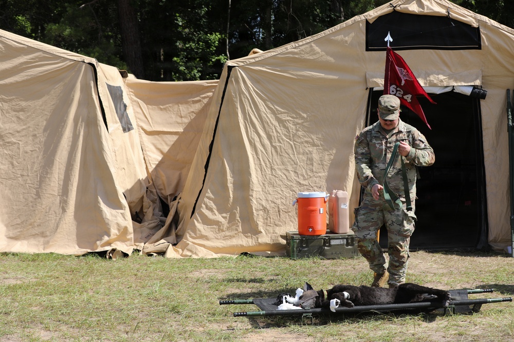 624th Forward Resuscitative Surgical Detachment (FRSD) performs medical field training using a robotic canine