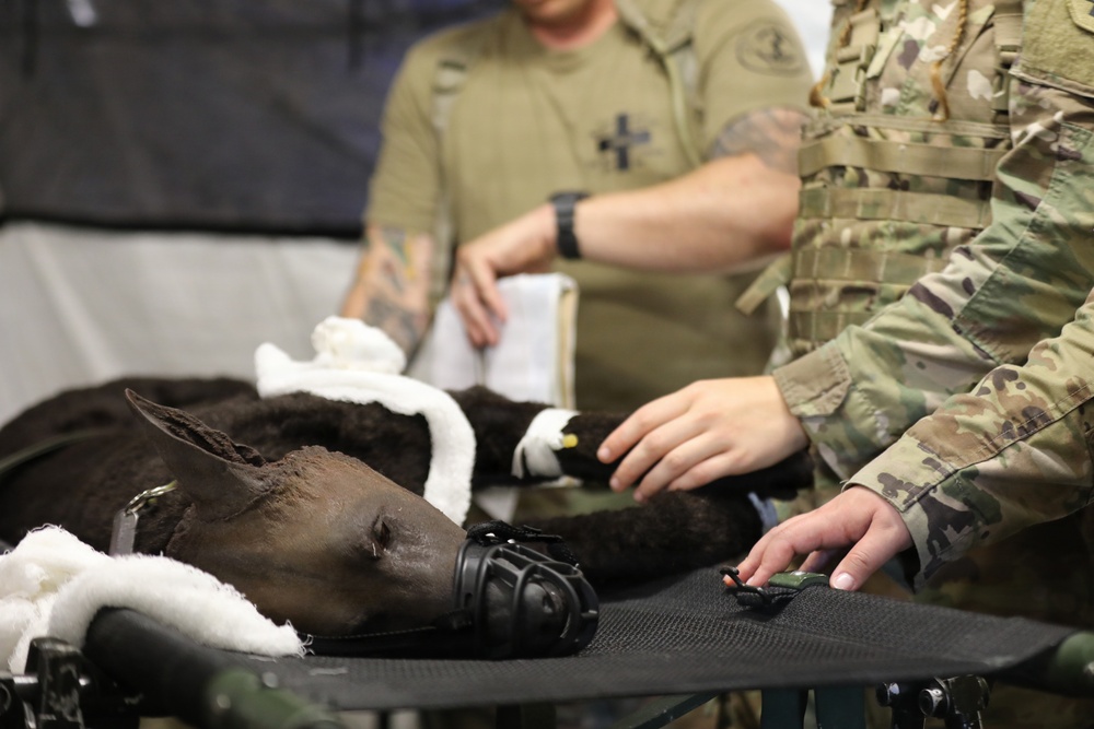 624th Forward Resuscitative Surgical Detachment (FRSD) performs medical field training using a robotic canine