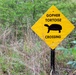 Army Reserve, conservation partners safeguard endangered gopher tortoise during Operation Sentinel Justice