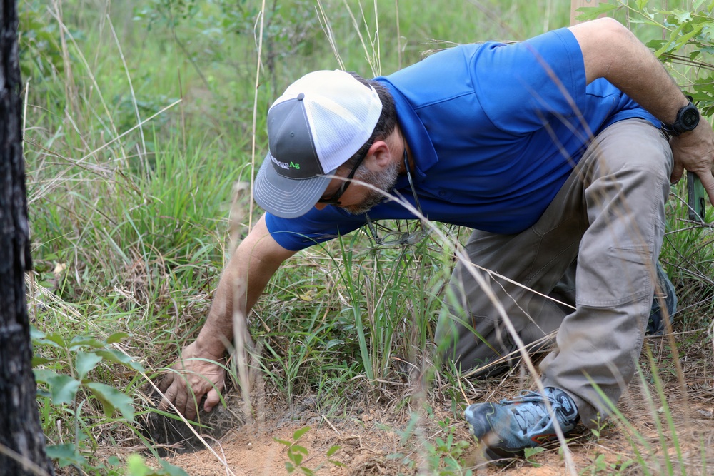 Army Reserve, conservation partners safeguard endangered gopher tortoise during Operation Sentinel Justice